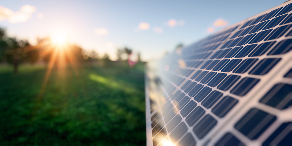 Solar Panels on Farm land